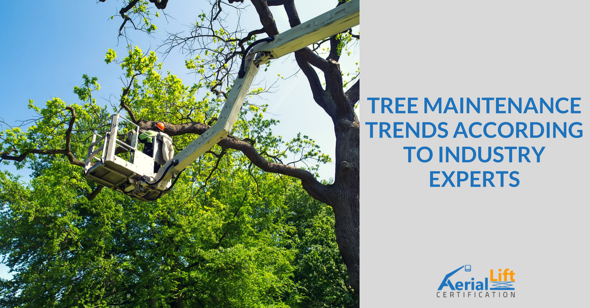 tree maintenance trends and aerial lifts